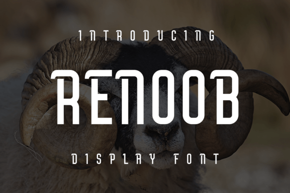 Renoob: A Display Font That Elevates Creative Communication